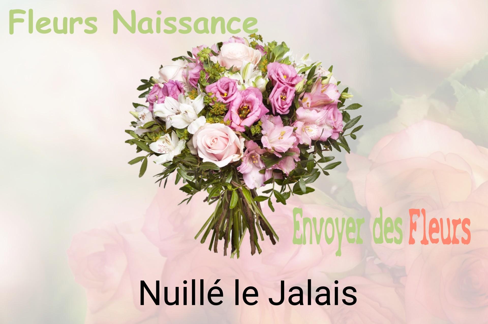 Bouquet de fleurs de naissance livré à Nuillé-le-Jalais